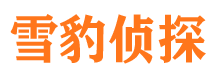 磐安市侦探调查公司